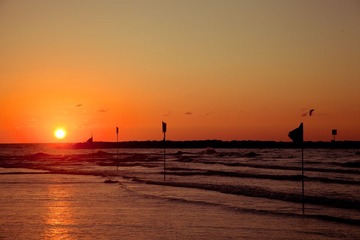 IMG_8059.jpg