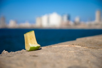 IMG_8100.jpg