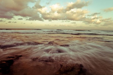 IMG_7230.jpg