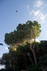 IMG_7324.jpg