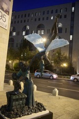IMG_7898.jpg