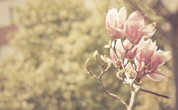 IMG_9341.jpg