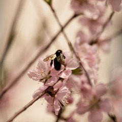 IMG_9346.jpg