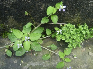 DSC06801.JPG