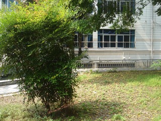 DSC06811.JPG
