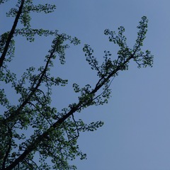 F7D0DE6E-8CBB-4722-AE06-CF663E467E1B/L0/001