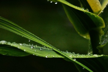 B575C057-F4E9-4BEF-A4C8-2FF27B84B1F9/L0/001