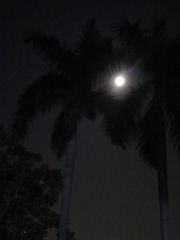 2711050