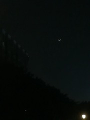 2760853