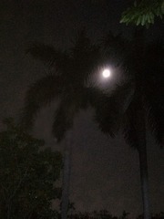 2711040