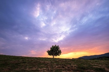 639E88C0-8288-49E3-AF7C-0EC09F4F3CFC/L0/001