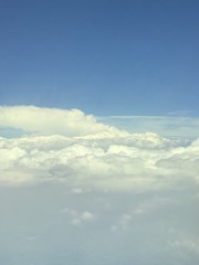 426B3752-2474-4D07-AE6E-347EDFAF04DF/L0/001