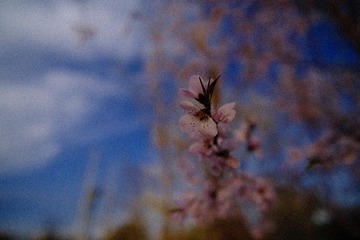 F18A0825-1714-4ED7-91D9-DFCC060E2E8F/L0/001