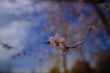 A724BB79-B608-4C55-BD8D-F1D5196109DE/L0/001