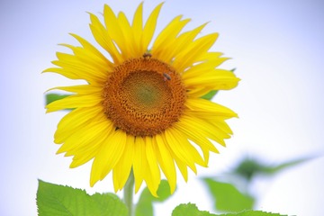 705850B4-F3EB-4266-9B24-9FE1A5E7E09B/L0/001