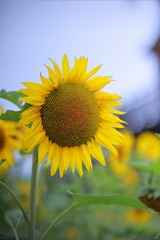 8C2C300C-C851-4D95-8A70-62D7CB1C5935/L0/001