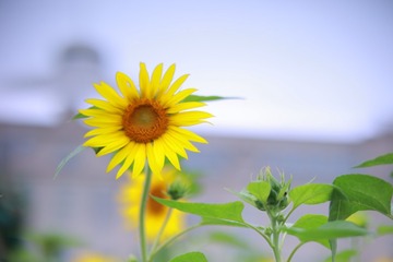 70A540E5-2572-4B86-8C84-71B840384DB9/L0/001