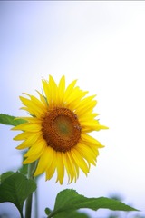 0B415982-E7EB-4F24-9499-9543EA5779DF/L0/001