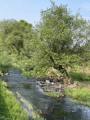 52CE2486-3F92-4DBD-9D74-10EC0E6317A6/L0/001