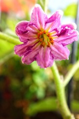 6C269A99-4DD1-471F-84A3-872CC2609921/L0/001
