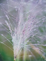 7176B360-351A-4F96-9C89-0FAE1A3A31F1/L0/001