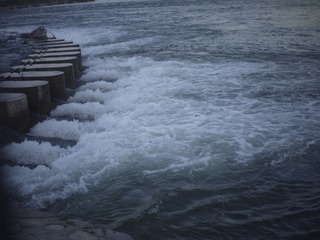 BB0D0D56-C9D3-4F39-A779-742714BCF3E5/L0/001