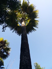 814253