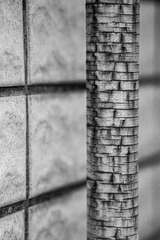 7661057E-D817-459C-85AE-D2BFB2C97949/L0/001