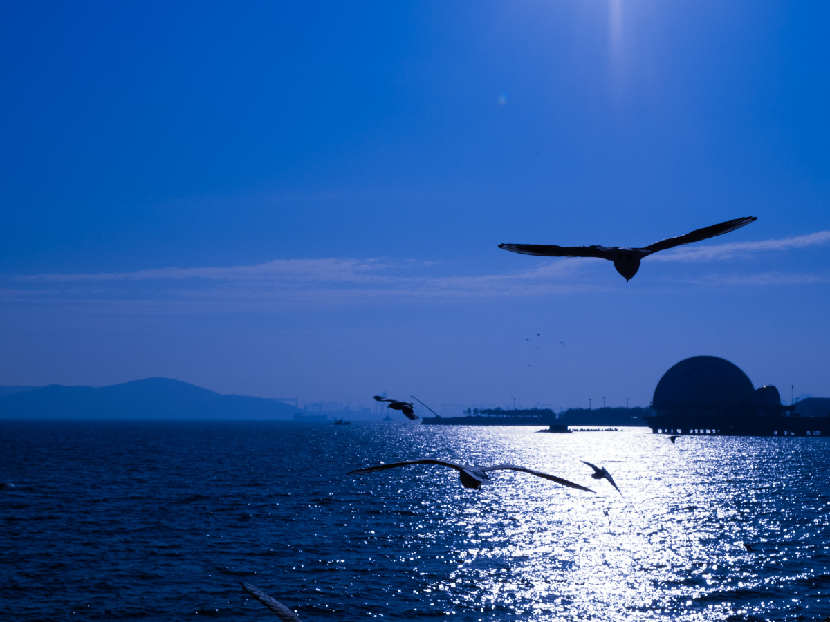 克莱因蓝的大海,双倍温柔. - 理想在逃 - 图虫