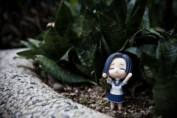 小早川