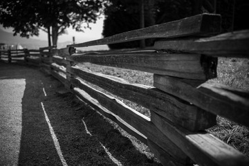 L1001394.jpg