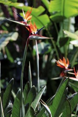 IMG_0464-编辑.jpg