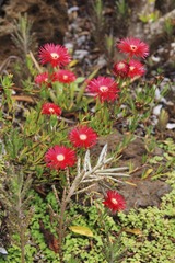 IMG_0506-编辑.jpg