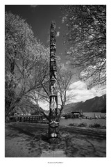 L1003058-编辑-编辑.jpg