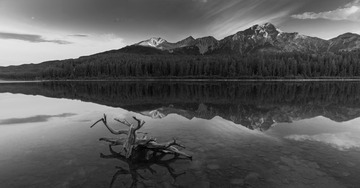 未标题_全景图1.jpg