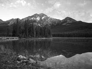 CF000229.jpg