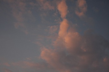 2A7C662F-D390-4632-A696-FEB3954ECDE9/L0/001