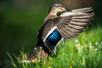 DSC_2864.jpg
