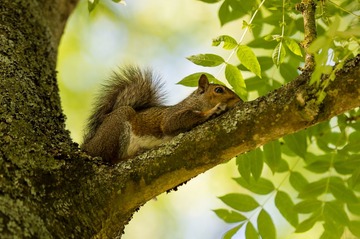DSC_3966.jpg