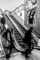 DSC07933-Edit
