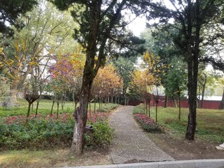 120505