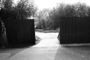 SDIM0036.jpg