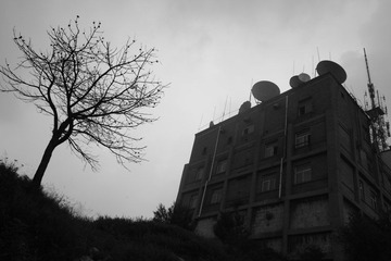 SDIM0161.jpg