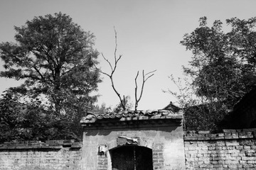 SDIM0661.jpg
