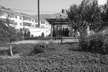 SDIM0819.jpg