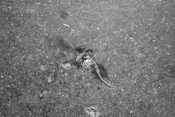 SDIM0823.jpg