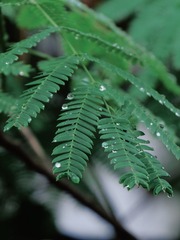 D0F103CA-9945-4657-82FC-8FEC1048DA75/L0/001