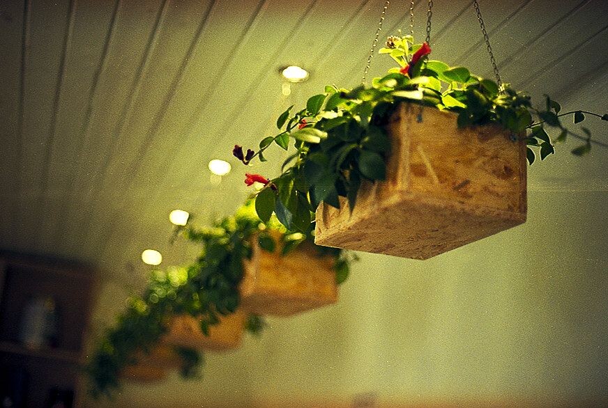 2012,厦门<br />
Nikon FM3A,Ais 50mm F1.4,Tudor 200