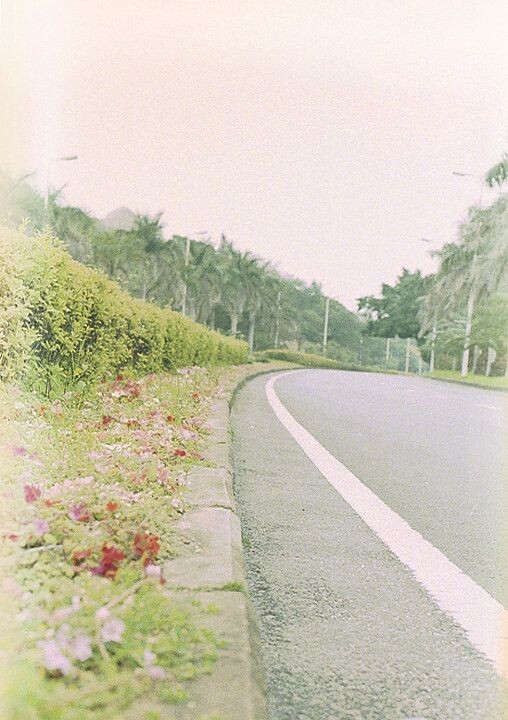 2012,厦门<br />
Nikon FM3A,Ais 50mm F1.4,Tudor 200