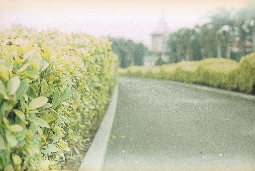 2012,厦门<br />
Nikon FM3A,Ais 50mm F1.4,Tudor 200